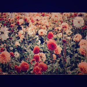 Meet your Posher, Sara